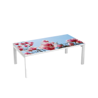 Table d'accueil 114 cm