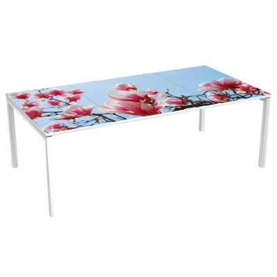 Table de Réunion 8 p